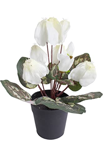 künstliches Alpenveilchen (Cyclamen) im schwarzen Kunststofftopf (Creme-weiß) von Botanic-Haus