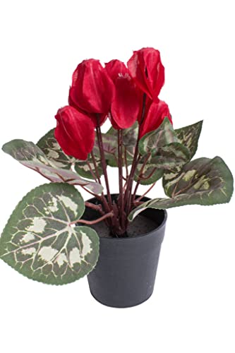 künstliches Alpenveilchen (Cyclamen) im schwarzen Kunststofftopf (rot) von Botanic-Haus