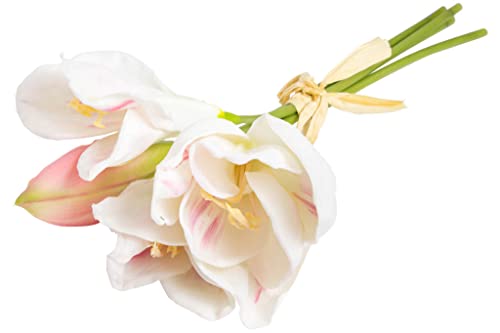 künstliches Amaryllis Bündel (weihnachtliche Blume) mit 3 Blüten und 1 Knospe Farbe: Creme-rosa von Botanic-Haus