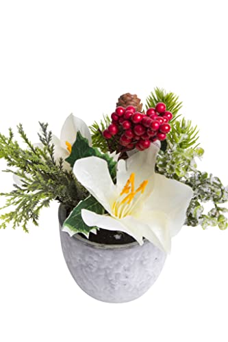 künstliches Amaryllis-Tannen-Arrangement im grauen Keramiktopf (Creme-weiß) von Botanic-Haus