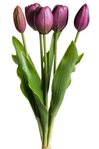 Botanic-Haus künstliches Tulpenbündel Holland mit 3 Tulpen und 2 Tulpenknospen real Touch (aubergine) von Botanic-Haus