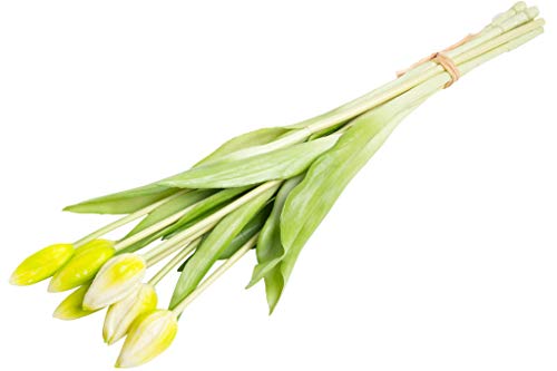 künstliches Tulpenbündel mit 7 Tulpenknospen real Touch (Creme-weiß) von Botanic-Haus