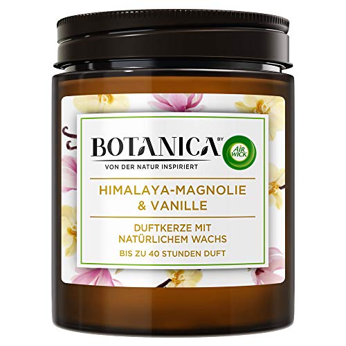 Botanica by Air Wick Duftkerze – Duft: Magnolie & Vanille – Nachhaltig hergestellt mit natürlichen Inhaltsstoffen – 500 g Kerze im Glas, 3185469, Braun von Botanica by Air Wick