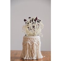 Mini Getrockneter Blumenstrauß | Gebleichter Babyatm Boho Getrocknete Blumen Trockenblumenstrauß Makramee Vase von BotanicalTalesDesign
