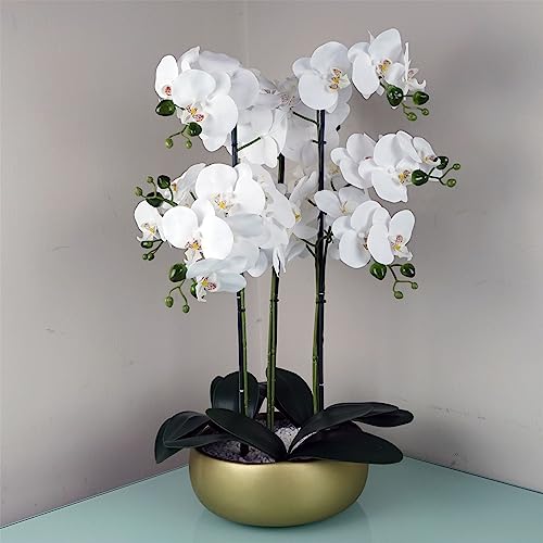 Botanik 60 cm Orchidee künstlicher Weißgold-Keramik-Übertopf von Botanik