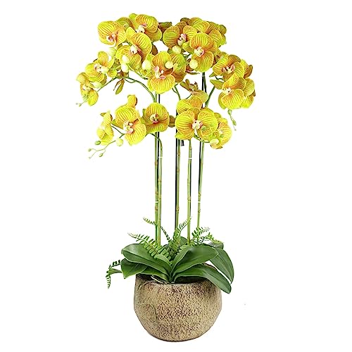 Botanik Künstliche Orchidee, 80 cm, Limettengelb, 41 echte Blumen von Botanik