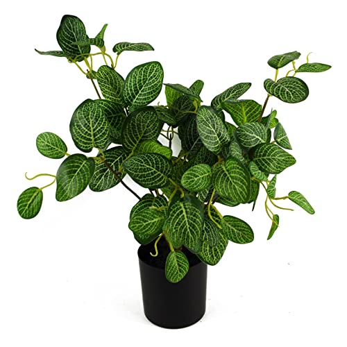 Botanik Künstliche Pothos-Pflanze, 40 cm von Botanik