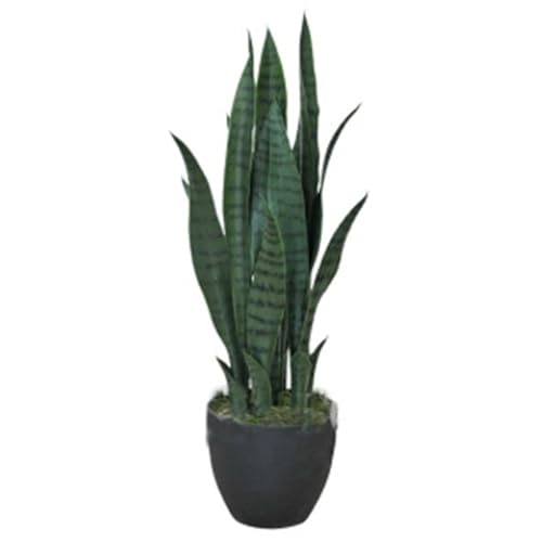 Botanik Künstliche Sansevieria Tropische Schlangenpflanze von Botanik