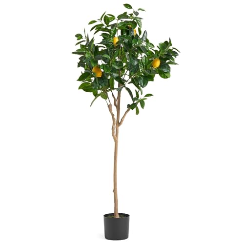 Botanik Realistische künstliche Obstbäume von Botanik