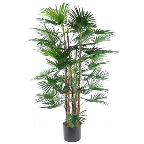 Botanik Realistische künstliche Palme und Tropische Bäume im Topf – fertig zum Ausstellen von Botanik