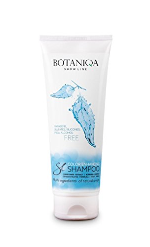 Botaniqa Show Line Color Enhancing Shampoo für Hunde mit weißem oder hellem Fell, parfümfrei, für Reinigung und Farbverbesserung, Hundeshampoo, Tierhaarshampoo von Botaniqa