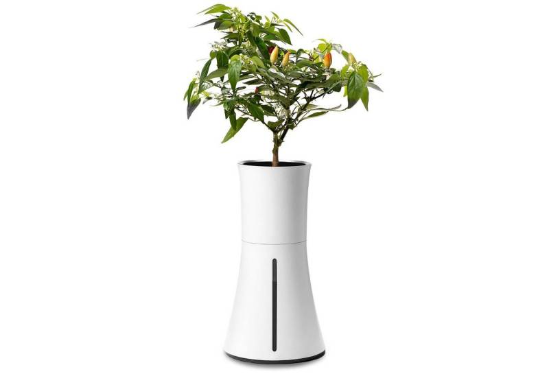 Botanium Blumentopf Botanium - Selbstbewässernder Topf für Kräuter, Gemüse & Zierpflanzen - weiß von Botanium