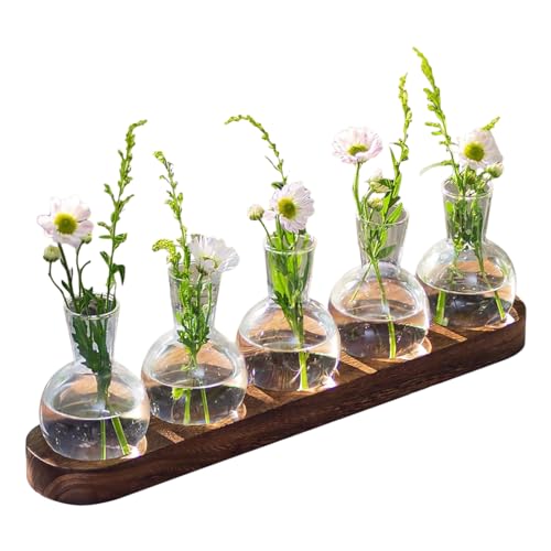 Ableger Pflanzen Glas mit Holzständer | Glas-Terrarium-Pflanzenset mit Eichelvase | Hydrokultur Terrarien-Schreibtisch Pflanzen für Deko Aesthetic | Pflanzen Zubehör für die Schreibtisch Dekoration von Botiniv