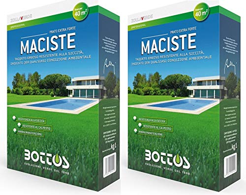 Maciste - Samen für Rasen - 1 kg - ANGEBOT 2 PACKS von Bottos