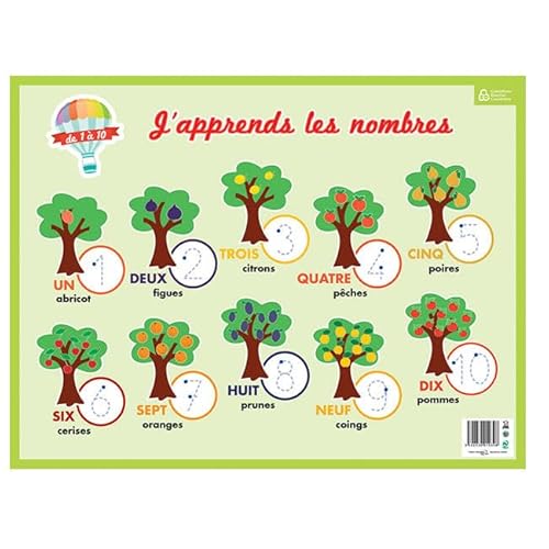 Bouchut Schieferplatte für Hunde und Kalkugel, 32 x 42 cm von Bouchut