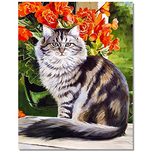 Bougimal 5D Diamant Painting Gemusterte Katze, Diamant-Malerei für Erwachsene Decoration Geschenk, 40X50cm von Bougimal