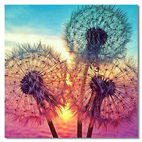 Bougimal 5D Diamant Painting (30cmx30cm), Diamant-Malerei für Erwachsene Geschenk Wall Decoration, Löwenzahn von Bougimal