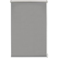 Boviva Thermo Klebe-/Klemmrollo Verdunklungsqualität grau B/L: ca. 90x210 cm von Boviva