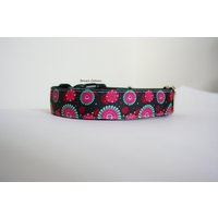 Feuerwerk Blumen Hundehalsband Oder Passender Leine Sicherheitsgurt 3/4" 1" Breite von BowesCollars