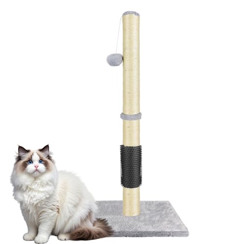 Kratzbaum für Katzen, 80 cm, Mit NatüRlichem Sisalseil, HäNgendem Ball Und Mit Teppich Bezogenem, Schwerem Sockel, Modernes, Stabiles Design, Selbstpflege, Für Katzen (Grau) von Bowose