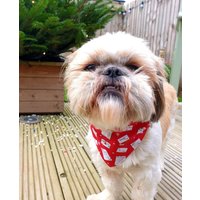 Hundehalstuch. Brief An Den Weihnachtsmann. 2 Größen von BowsByBellaDesigns