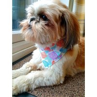 Hundehalstuch. Buntes Fisch Design. 2 Größen von BowsByBellaDesigns
