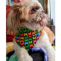 Hundehalstuch. Mehrfarbige Schmetterlinge Design. Zwei Größen von BowsByBellaDesigns