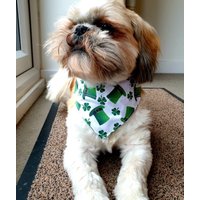 Hundehalstuch. Zylinderhut Und Kleeblatt Design. 2 Größen von BowsByBellaDesigns