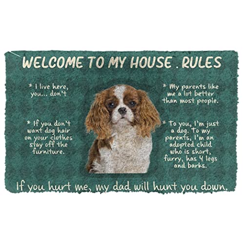 Boxbit fußmatte innen außen fussmatte Cavalier King Charles Spaniel Willkommen bei My House Rules Custom Fußmatte deko Wohnzimmer Zimmer deko von Boxbit