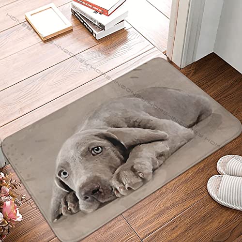 Boxbit fußmatte innen außen fussmatte Eingangstürmatte, Hunde-Badezimmermatte, Weimaraner-Welpe, Fußmatte, Küchenteppich, Outdoor-Teppich deko Wohnzimmer Zimmer deko von Boxbit