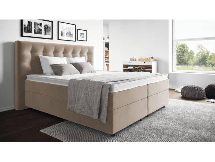 Mikrofeder BOXSPRING WELT Bett Paul 160x220, alle Größen von Boxspring Welt
