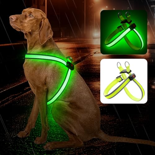 LED-Sicherheitsgeschirr für Hunde USB-Aufladbar 3 Lichtmodi Größe XS-L (Grün, S) von Bpawser