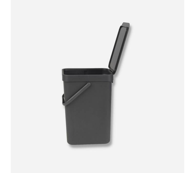 Brabantia Mülleimer Sort & Go Abfallbehälter 12l Grau von Brabantia