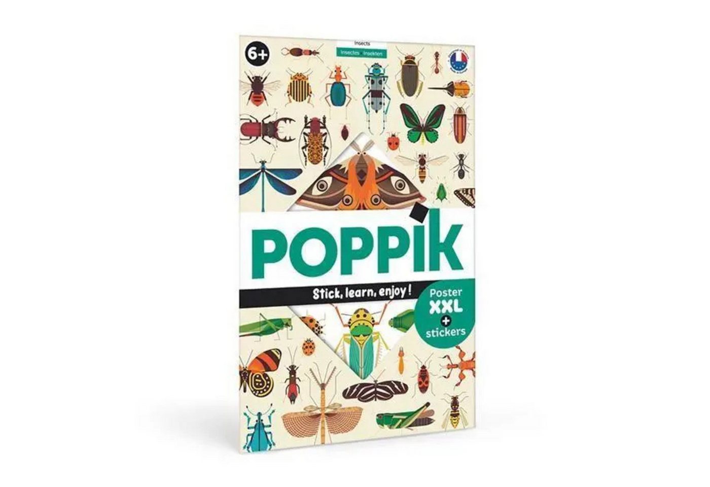 BrainBox Poster POPPIK - Lernposter & Sticker Insekten BrainBox Poster POPPIK - Lernposter & Sticker Insekten von BrainBox