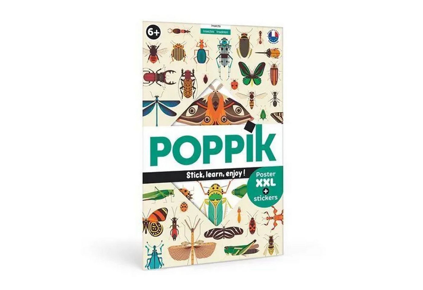 BrainBox Poster POPPIK - Lernposter & Sticker Insekten BrainBox Poster POPPIK - Lernposter & Sticker Insekten von BrainBox