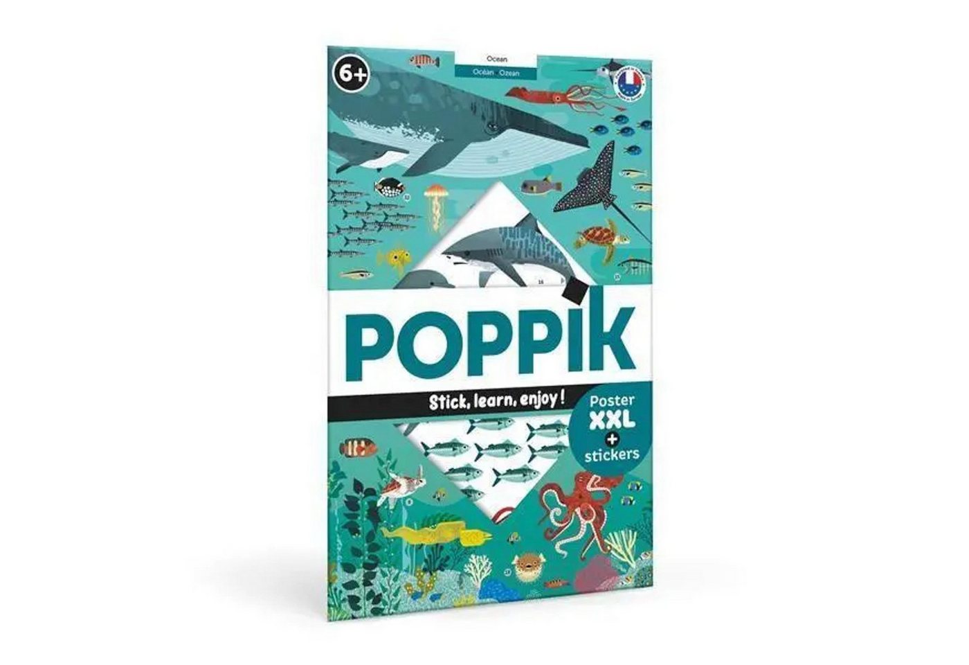 BrainBox Poster POPPIK - Lernposter & Sticker Ozean BrainBox Poster POPPIK - Lernposter & Sticker Ozean von BrainBox
