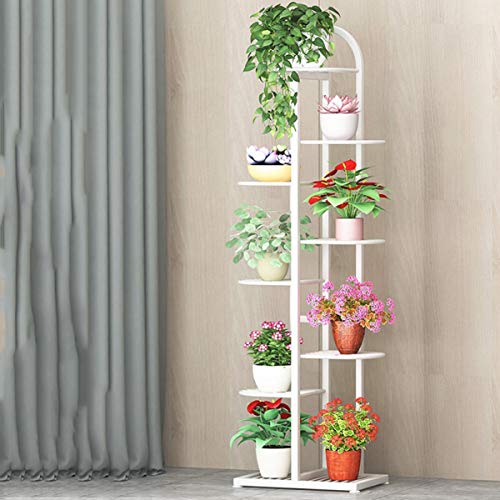 Metall viele Stufe Pflanzenständer Halter, Schmiedeeisen Blume Regal Multi-Layer Home Indoor Balkon Set Bodentyp Pflanze Blume Topf Stand,Weiß,8 Floors von Braiton