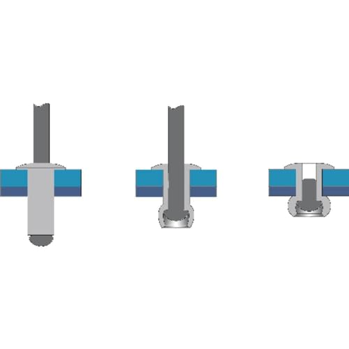 Bralo 1010003006 Blindniete (Ø x L) 3 mm x 6 mm Stahl Aluminium 500 Stück von Bralo