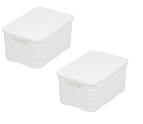 BranQ - Home essential Korb mit Deckel in Rattan Design 2er Set Grösse M 19 l, BPA-frei Kunststoff PP, Weiß, 28,8x19,7x16,2 cm, 2 STK. von BranQ Home essential