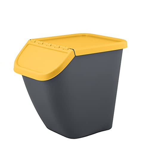 BranQ Home essential – Mülltrennungssystem Pelikan zur Mülltrennung, Mülleimer 23 Ltr. mit abschließbarem Deckel, Kunststoff (PP) BPA-frei, Antrazit mit farbigem Deckel: Plastik von BranQ Home essential
