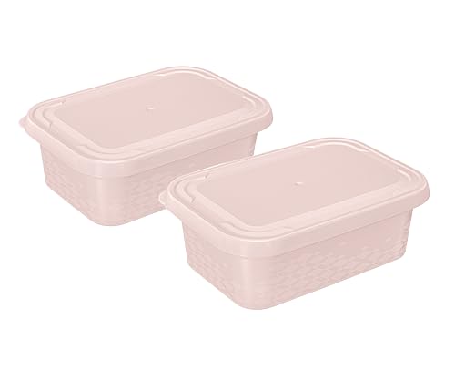 BranQ - Home essential Set von Frischhaltedosen ORI, BPA-freier Kunststoff, Rosa, 2 St. von BranQ - Home essential