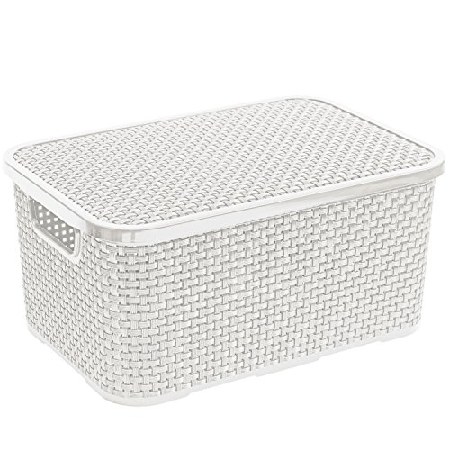 Branq Rattan Aufbewahrungsbox mit Deckel Box Kiste Aufbewahrungsbehälter (10L, Weiß) von Branq
