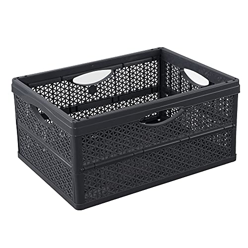 BranQ - Home essential Klappbox- praktischer und universeller Klappbox mit einem Fassungsvermögen von 32 Litern, aus BPA-frei Kunststoff, Anthrazit, 5901098173209 von BranQ Home essential