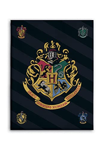 BrandMac Harry Potter Fleece-Decke 100x140 Kuscheldecke Schmusedecke Hogwarts von Harry Potter