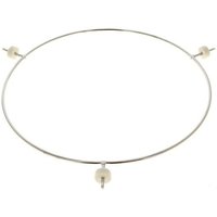 Brandt - Tablettrahmen d=204mm , as6013377 für mikrowelle von dietrich von Brandt