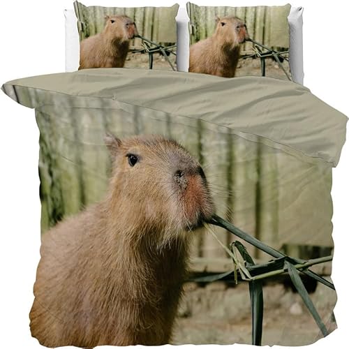 Bettwäsche 135x200 Kinder Braunes Capybara 3D Tier Drucken Bettwäsche-Sets mit Reißverschluss 3teilig, 1 Bettbezug und 2 Kissenbezug 80x80 cm, Deckenbezug Weich Atmungsaktiv aus Mikrofaser von Brandzly
