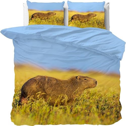 Bettwäsche 135x200 Braun Capybara Bettwäsche-Sets mit Reißverschluss 3teilig, 1 Bettbezug und 2 Kissenbezug 80x80 cm, Deckenbezug Weich Atmungsaktiv aus Mikrofaser von Brandzly