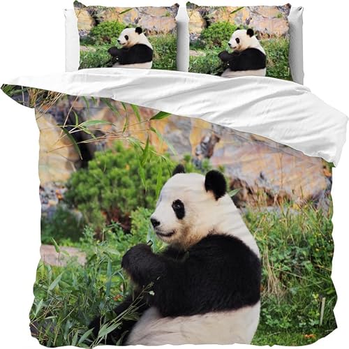 Bettwäsche 155x220 Panda Bettwäsche-Sets mit Reißverschluss 3teilig, 1 Bettbezug und 2 Kissenbezug 80x80 cm, Deckenbezug Weich Atmungsaktiv aus Mikrofaser von Brandzly