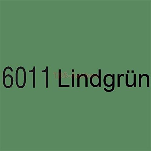 Brantho Korrux"3 in 1" 5 Liter 6011 Lindgrün (19,80 EUR/l) von Branth Farben