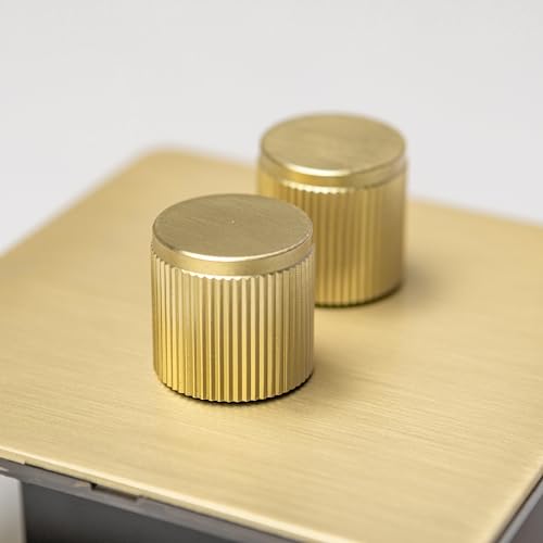 Gerändelte Schalter und Steckdosen aus satiniertem Messing (Doppel-Lichtdimmer) von Brass bee